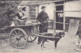 Netherlands PPC Walchersche Hondenkar Hundewagen Dog Cart Chariot Du Chien. F. B. Den Boer, Middelburg (2 Scans) - Sonstige & Ohne Zuordnung
