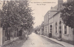 BERRY SAVIGNY EN SANCERRE Rue Du Verger - Sonstige & Ohne Zuordnung