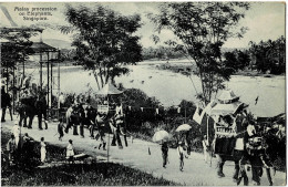 Malay Procession On Elephants Singapore Circulée En 1923 - Singapour