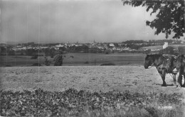 08  VOUZIERS   Vue Panoramique   Cpsm    2 Scans - Vouziers