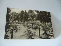 INSEL MAINAU PALMENHAIN ALLEMAGNE BADE WURYTEMBERG CPA 1957 - Altri & Non Classificati