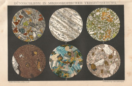Vedute Al Microscopio - Stampa D'epoca - 1901 Vintage Print - Prints & Engravings