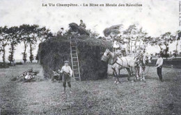 *Repro CPA - Vie Champêtre - La Mise En Meule Des Récoltes - Landwirtschaftl. Anbau