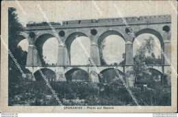 Bq606 Cartolina Sparanise Ponte Sul Savone Treno Provincia Di Caserta Campania - Caserta