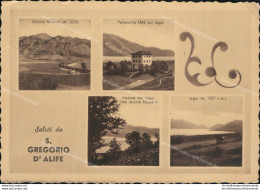 Ar152 Cartolina Saluti Da S.gregorio D'alife  Provincia Di Caserta - Caserta