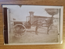 19393.   Fotografia D'epoca Cavallo Con Calesse Inizio '900 Italia - 13,5x9 - Altri & Non Classificati