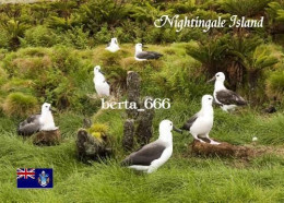 Tristan Da Cunha Nightingale Island Albatrosses New Postcard - Sant'Elena