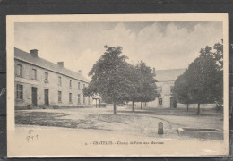 23 - CHATELUS - Champ De Foire Aux Moutons - Chatelus Malvaleix