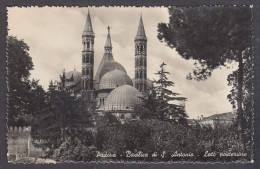 128527/ PADOVA, Basilica Di Sant'Antonio, Lato Posteriore - Padova