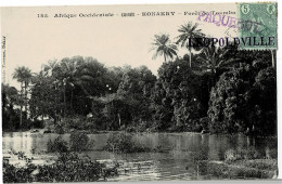 Konakry Forêt De Toumbo Cachet Paquebot Leopoldville Circulée En 1911 - Guinea