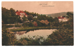 Baf Elster Partie Im Albertpark 1910-20s Unused Hand Colored Real Photo Postcard. Publisher Adolf Schaller Bad Elster - Bad Elster
