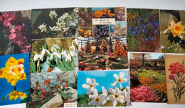 Dèstockage - Flowers,Blumen,Flores.Lot Of 90 Postcards.#52 - Blumen