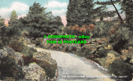 R537726 Rockery. Kew Gardens. London. Star Series. G. D. And D. L. 1907 - Sonstige & Ohne Zuordnung