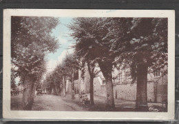 23 - FELLETIN - Promenade Des Arbres - Felletin