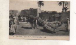 Algérie - CPA - SIDI OKBA -  Sur Le Marché - Marchand De Bois - - Otros & Sin Clasificación