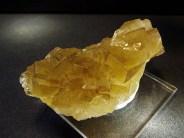 Fluorite Yellow Fluorescence  ( 6 X 3 X 2.5 Cm ) Moscona Mine -  Solis -  Asturias -  Spain. - Mineralien