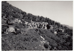 LUSTROLA - GRANAGLIONE - BOLOGNA - 1966 - Bologna