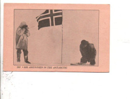 AMUNDSEN EN ANTATICQUE - Other & Unclassified