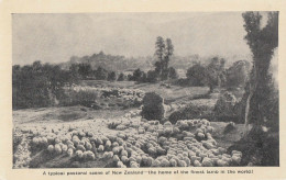 C43. Vintage Postcard. Pastoral Scene Of New Zealand. Home Of The Finest Lamb. - Nieuw-Zeeland