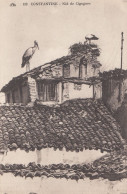 C09. Vintage Postcard. Storks Nest. Constantine, Algeria - Constantine