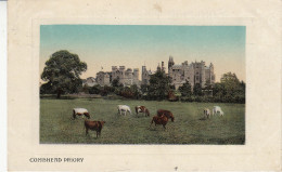 C12. Vintage Valentines Postcard. Conishead Priory And Cows - Other & Unclassified