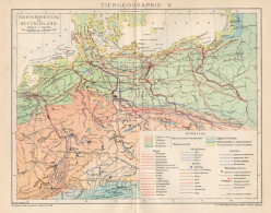 B6301 Germany - Animal Spread - Carta Geografica Antica Del 1903 - Old Map - Landkarten