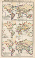 B6173 Diffusione Degli Animali VII - Carta Geografica Antica Del 1891 - Old Map - Carte Geographique