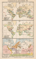 B6170 Diffusione Degli Animali VIII - Carta Geografica Antica Del 1891 - Old Map - Mapas Geográficas