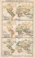 B6172 Diffusione Degli Animali VI - Carta Geografica Antica Del 1891 - Old Map - Mapas Geográficas