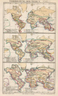 B6171 Diffusione Degli Animali V - Carta Geografica Antica Del 1891 - Old Map - Carte Geographique