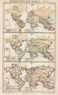 B6171 Diffusione Degli Animali V - Carta Geografica Antica Del 1891 - Old Map - Mapas Geográficas