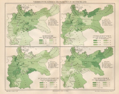 B6166 Germany - Spread Some Diseases - Carta Geografica Antica 1891 - Old Map - Landkarten