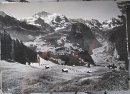 SWITZERLAND SWISS HELVETIA WENGEN JUNGFRAU CP PC AK CARD POSTKARTE CARTE POSTALE POSTCARD ANSICHTSKARTE CARTOLINA - Other & Unclassified