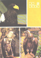 Bird, Moscow Zoo Birds, Eagles, Haliaeetus Pelagicus, Gypaetus Barbatus, Gyps Himalayensis, 1988 - Vogels