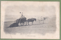 CPA Vue Rare Dos Précurseur - LA RÉCOLTE DU VARECH - Petit Attelage Sur La Plage - Gallot Photographe - Pesca