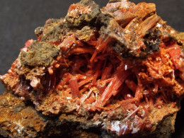 Crocoite ( 5 X 3 X 2.5 Cm) - Red Lead Mine - Tasmania - Australia - Minerales