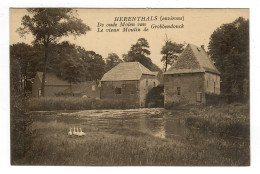 Grobbendonck  Grobbendonk  De Oude Molen Le Vieux Moulin  Edition Bastiaensen - Grobbendonk