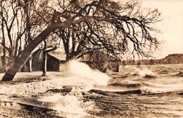 Waren/Müritz Sturm Auf Der Müritz Gl1989 #172.142 - Andere & Zonder Classificatie