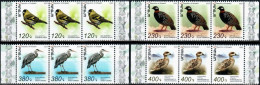 Artsakh 2023 "Fauna.Birds" 4v Zd (se- Tenant Perforated) Quality:100% - Armenië