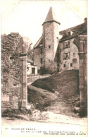 CPA Carte Postale France  Salies-de-Béarn   Ruines Du Château Taleyran Pepigord  VM80159 - Salies De Bearn