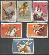 Belgique - Zoo Anvers - Rhinocéros, Przewalski, Okapi, Girafe, Panda, Elan - N°1182 à 1187 ** - Nuovi