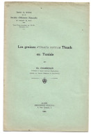 LES GRAINES D'OXALIS CERNUA THUMB. EN TUNISIE. 1934 - Jardinage