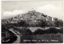 PALOMBARA SABINA - PANORAMA - ROMA - 1965 - Altri & Non Classificati
