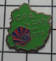 3517 Pin's Pins / Beau Et Rare / ADMINISTRATIONS / CFA CENTRE DE FORMATION DES APPRENTIS DU CAP AU BTS - Administraties