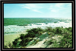 49892 - USA - Long Island , New York , Sand Dunes And Surf - Nicht Gelaufen  - Long Island