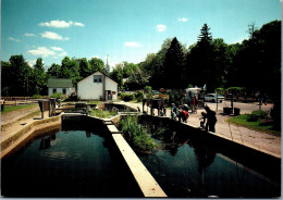 49894 - USA - Long Island , New York , Cold Spring Harbour Fish Hatchery , Aquarium - Nicht Gelaufen  - Long Island