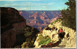 49849 - USA - Arizona , Mule , Train Returns , Grand Canyon National Park - Gelaufen 1970 - Autres & Non Classés