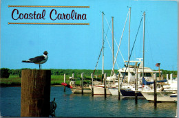 49814 - USA - South Carolina , Coastal Carolina - Gelaufen 1994 - Other & Unclassified