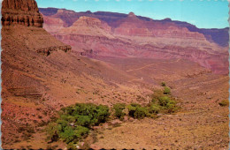 49812 - USA - Indian Garden , Arizona , Grand Canyon National Park - Gelaufen 1983 - Gran Cañon