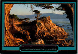 49819 - USA - California , Carmel , The Lone Cypress - Gelaufen 1994 - Other & Unclassified